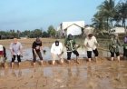 Gerakan Percepatan Tanam Padi Sawah di Kecamatan Mujul Kabupaten Pandeglang Oleh Staf Ahli Mentri Pertanian Bidang Investasi
