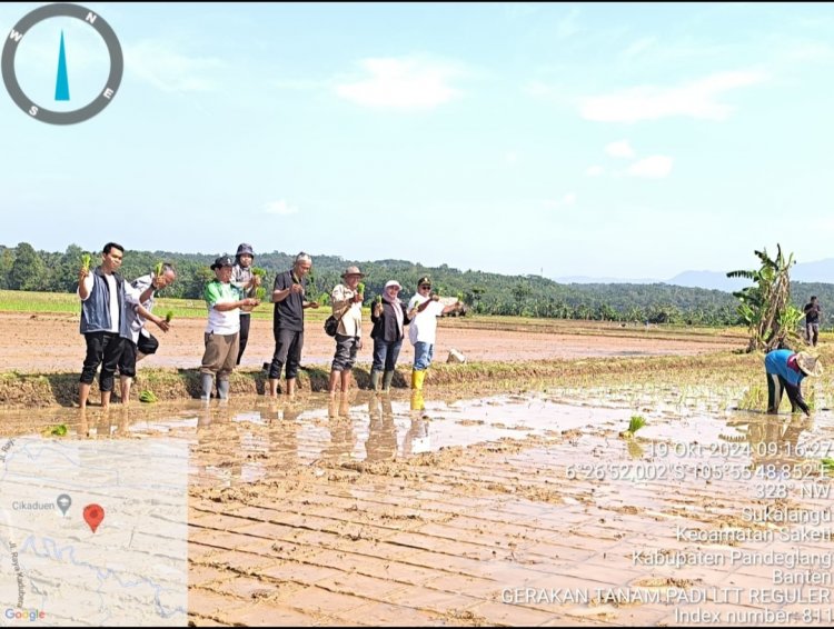 Kepala BBPOPT Bersama  DPKP Kabupaten Pandeglang Laksanakan Gertam Padi LTT di Poktan Sri Clay Desa Sukalangu  Kecamatan Saketi
