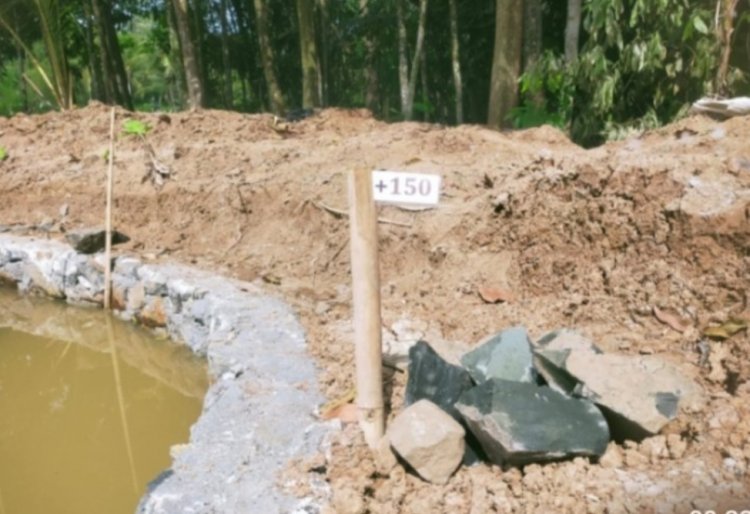 Diduga Ada Permainan Pendamping, Dinas dan Kelompok, Program P3AI Desa Kadubadak Angsana Dikerjakan Asal Jadi