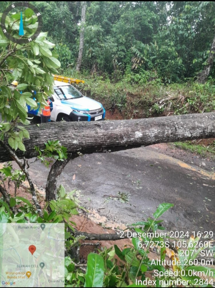 Cuaca Ekstrim Dibeberapa Wilayah Pandeglang Mengakibatkan Banjir Dan Banyak Pohon Tumbang, PLN ULP Labuan Gerak Cepat Atasi Ganguan Listrik.