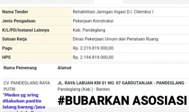 Pemkab Pandeglang Di Tuntut Oleh P-4 Untuk Membatalkan Atau Menggugurkan Tender Lelang Dini.