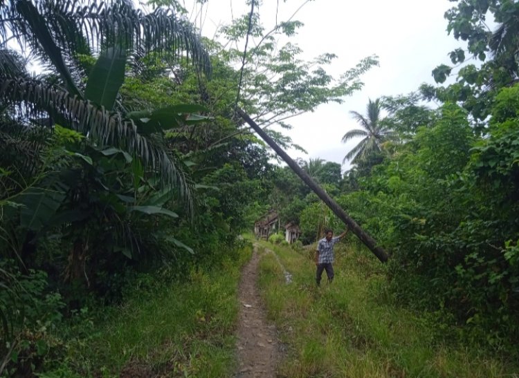 Warga Kampung Ciawi Merasa Kecewa Kepihak Pelayanan PLN Munjul Yang Tidak Tanggap Adanya Tiang Listrik Akan Roboh.