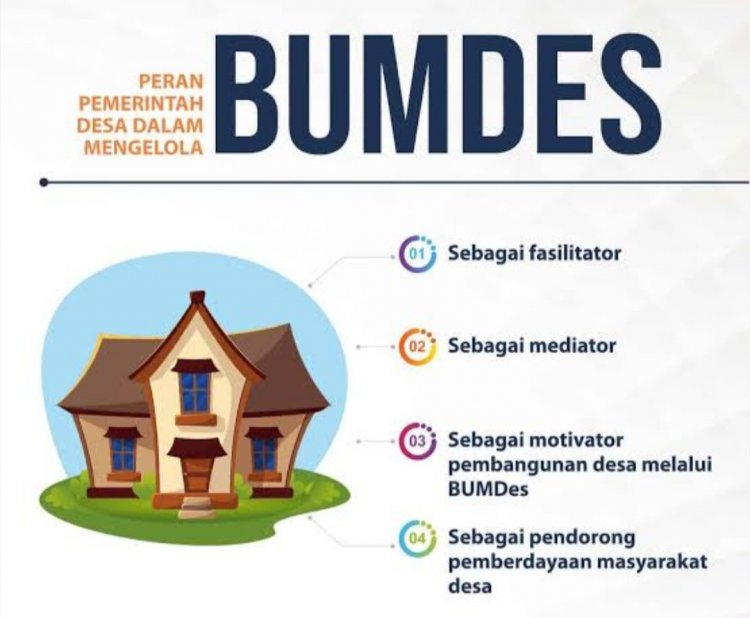 DPC GWI Pandeglang Meminta Kepada APH Agar Periksa Realisasi DD Desa Mekarjaya & Karyautama Cikedal, Yang Diduga Tidak Jelas