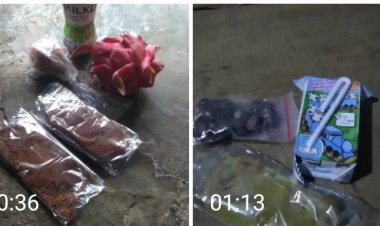 Menu MBG di Mandalawangi Jadi Perbincangan Wali Murid SD Sirnagalih 1. Sorotan pada Kemasan dan Kesesuaian Pagu