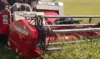 Serbuan Combine Harvester dari Luar Daerah ke Pandeglang Tuai Sorotan, Legalitas dan Pengawasan Dipertanyakan  ‎