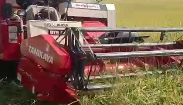 Serbuan Combine Harvester dari Luar Daerah ke Pandeglang Tuai Sorotan, Legalitas dan Pengawasan Dipertanyakan  ‎