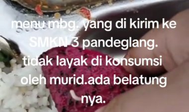 Video Diduga Tampilkan Menu MBG untuk SMKN 3 Pandeglang Beredar, Publik Tunggu Klarifikasi Resmi