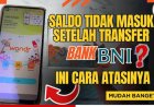 Cara Mengatasi Transaksi BNI Gagal/Ditolak Transfer Saldo BNI