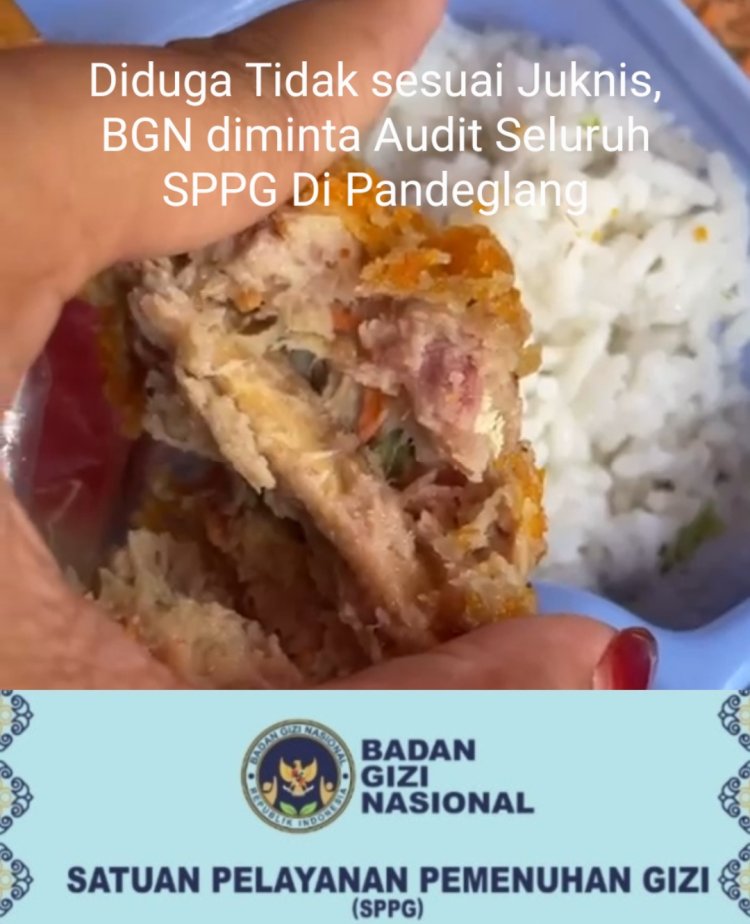 Diduga Tidak Sesuai Juknis, BGN Diminta Audit Seluruh SPPG di Pandeglang & Relaisasi Insentif 6 Juta Perhari