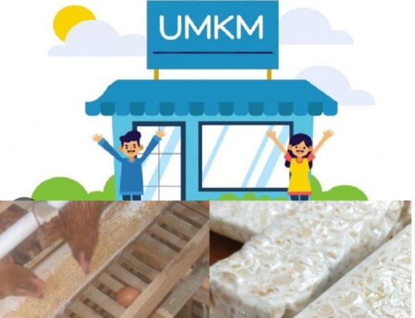 Dapur SPPG Cening 03 Gandeng UMKM Lokal, Program MBG Dorong Kebangkitan Ekonomi Kerakyatan