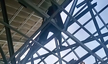 Revitalisasi SDN Alaswangi 1 Pandeglang Bernilai Rp658 Juta, Pengawasan Pemerintah dan Aparat Diminta Diperketat  ‎